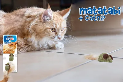 Lodër për mace Vitakraft Matatabi Catnip Mice, me pendë, set - 2