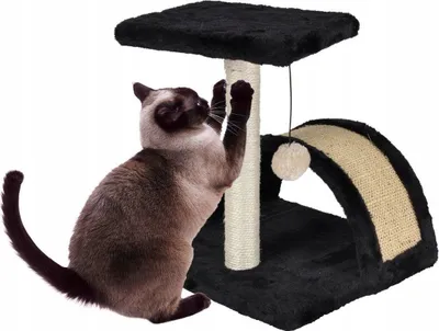 Pamja 2