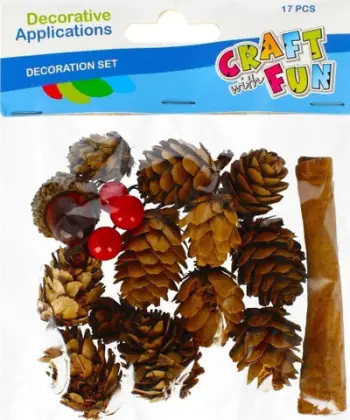 Set dekorativ Craft with Fun DEC NATURE PINECONE, 17 copë, aksesorë për zbukurim