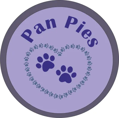 Pamja 4