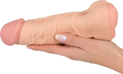 Pamja 4