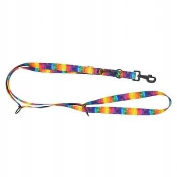 Litar i rregullueshëm për qen Barry King Rainbow, 20mm, 220cm, shumëngjyrësh