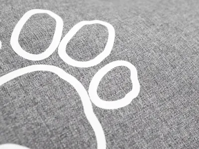 Pamja 5