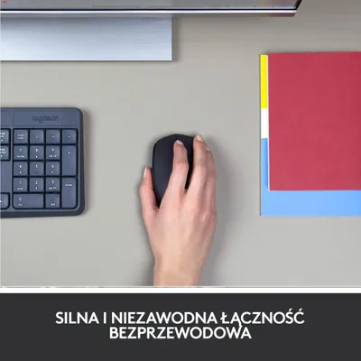 Pamja 2