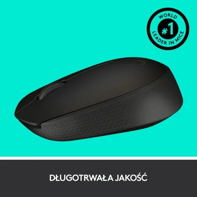 Pamja 5
