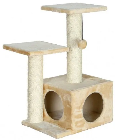 Pamja 1
