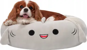 Shtrat për kafshë Squishmallows Gordon the Shark, 20", i butë, gri