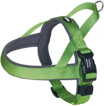 Shollë për qen Nobby Classic Preno, S M 38 50cm, e gjelbër
