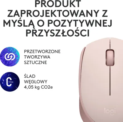 Pamja 3