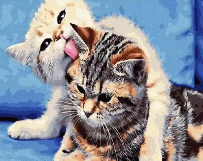 Set pikturimi me diamante Cat Love, 30x40cm, shumëngjyrësh - 3