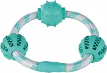 Lodër për qen Trixie Denta Fun Rope, 20 cm, gome, mente, ngjyrë mente