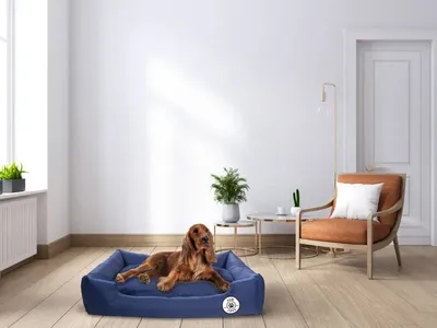 Shtrat për qen e mace PawLove, katror, 80x60cm, blu navy - 2