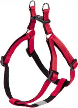 Parzmore për qen Nobby Soft Grip, S M, blu e zezë