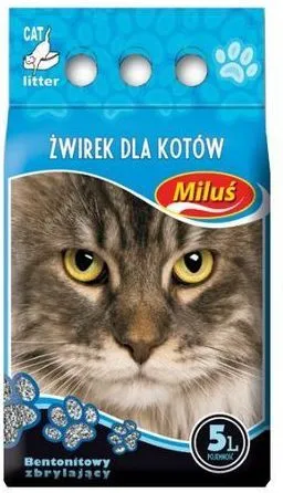 Pamja 1