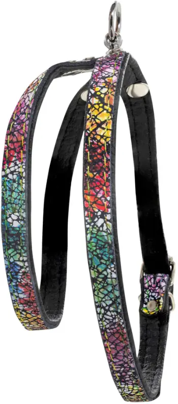 Parzmore qeni Barry King Leather Flowers XS S, lëkurë natyrale, 12mm 40cm, shumëngjyrëshe