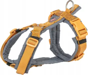Parzmore premium për qen BV, L 70-85 cm, 25 mm, curry grafit