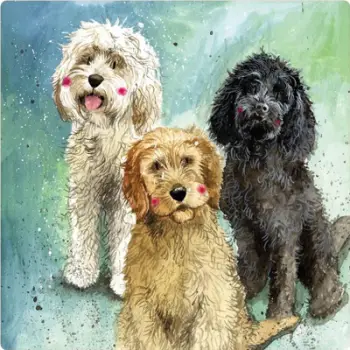 Magnet frigorifer Teka FM229, dizajn qeni Cockapoo, shumëngjyrësh