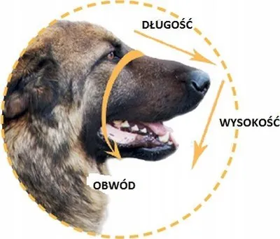 Gozhdë metalike për qen Dino 3314/B, madhësia 6, për Shepherd, kafe - 2