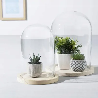 Kupë dekorative Atmosphera Glass and Wood Bell Jar, 26cm, transparente - 2