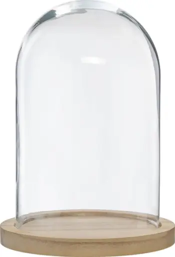 Kupë dekorative Atmosphera Glass and Wood Bell Jar, 26cm, transparente