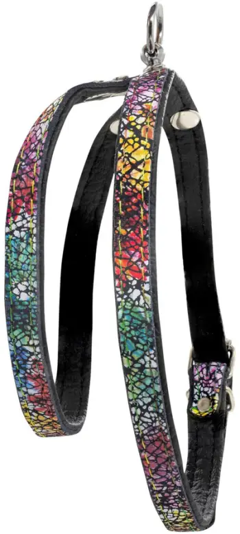 Shtrëngues qeni Barry King Leather Flowers, M L, 12mm 45cm, shumëngjyrësh