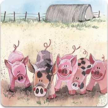 Magnet frigoriferi Teka FM60 Piglet, dizajn derrkuc, shumëngjyrësh