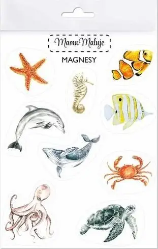 Magnete edukativë DechkoToys Sea and Ocean Animals, fletë 14x20 cm, shumëngjyrëshe