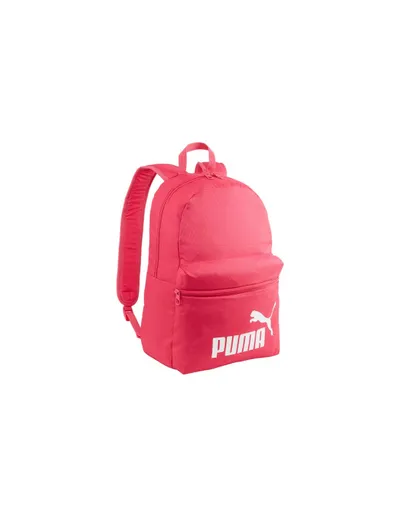 Pamja 1