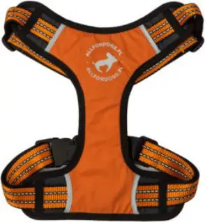 Parzmore sportive për qen All For Dogs, madhësia L 70-125cm, portokalli