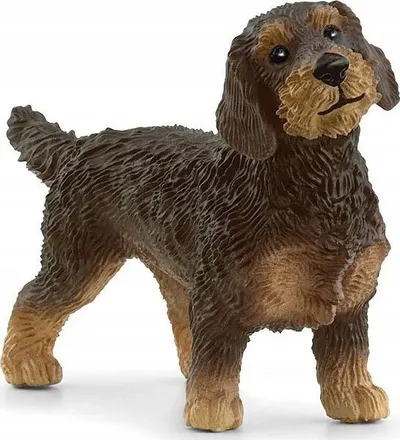 Pamja 1
