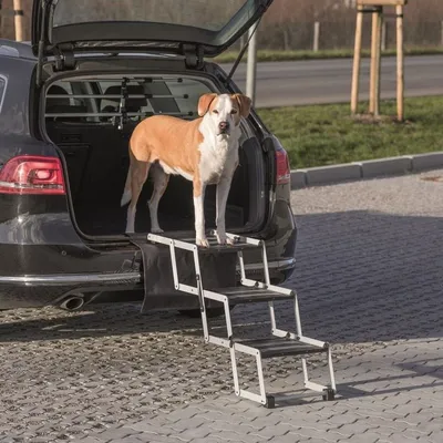 Shkallë palosëse për kafshë Trixie Folding Petwalk, alumin, 120x37x57 cm - 1