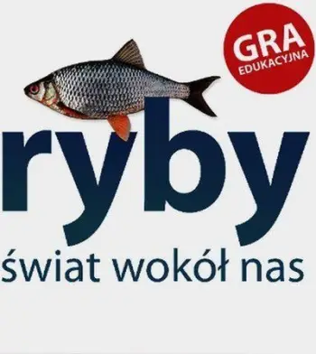 Lojë memorie edukative Jacobsony World Around Us Fish, për fëmijë, shumëngjyrëshe