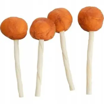 Shujtë për qen Premio Lolly, me merluc, 9 cm