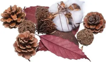 Material dekorativ i tharë Brewis Autumn, 30–40 g, shumëngjyrësh