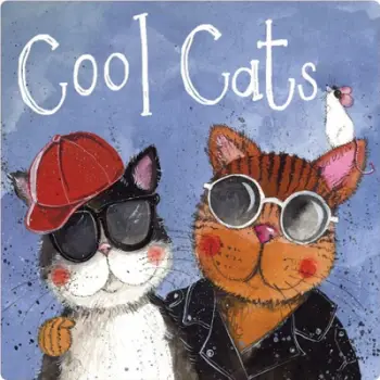 Magnet frigoriferi Teka FM221 Cool Cats, dizajn mace, shumëngjyrësh