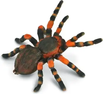 Figurë miniaturë CollectA Insect Collection Mexican Redknee Tarantula, lodër edukative, merimangë realiste, shumëngjyrëshe