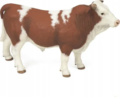 Pamja 1