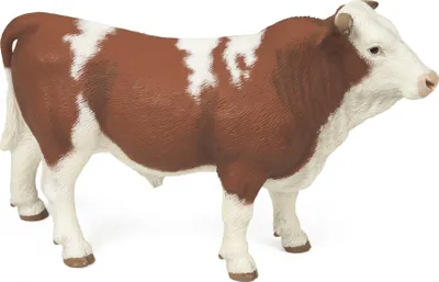 Pamja 2