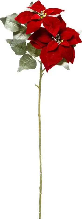 Stoli dekorativ Bethlehem Star, 75cm, për qendër tavoline, e kuqe
