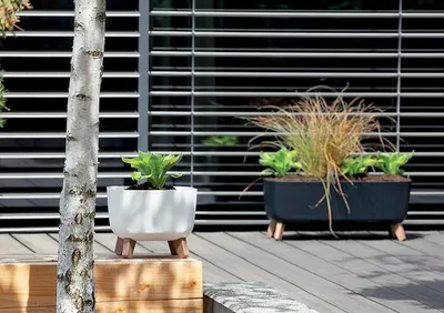 Vazo me këmbë Prosperplast Bonsai Gracia DGQL400, plastike, për ambiente të brendshme dhe të jashtme, antracit - 5
