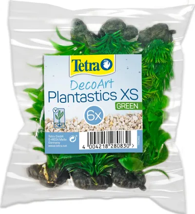 Pamja 1