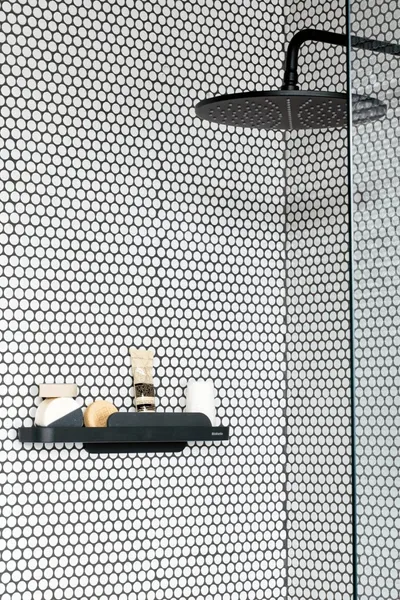 Raft dushi Brabantia MindSet, çelik antikorrozion, me shpatull silikoni, gri e errët - 4