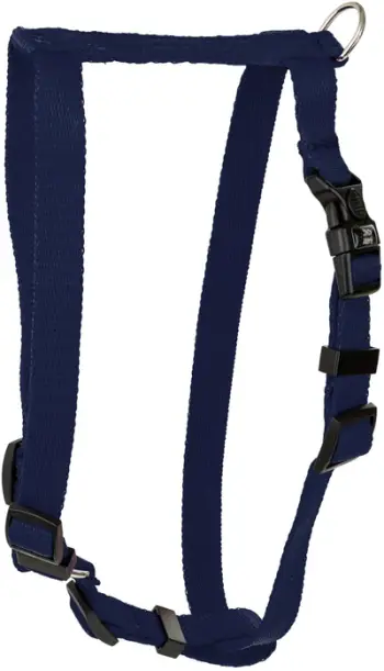 Parzmore për qen Barry King Classic, 75-100cm, 25mm, blu navy