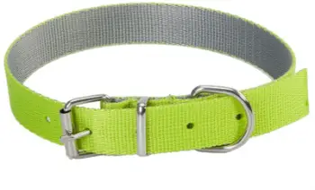 Kollare për qentë Dingo Collar Energy, 1.6/40cm, e gjelbër