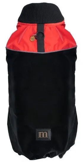 Pamja 1