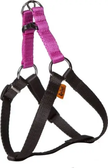Shalë qeni Dingo Fred Energy, 1.6 x 50cm, madhësia M, rozë fuchsia