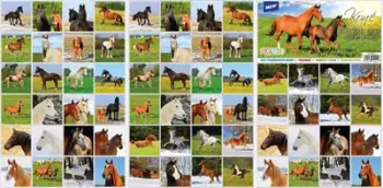 Lojë memorie Pexeso MFP Horse 5300904, me kartela kuajsh, shumëngjyrëshe
