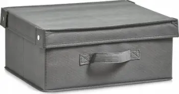 Kuti organizuese Zeller Present Foldable, me kapak, palosëse, bezhë