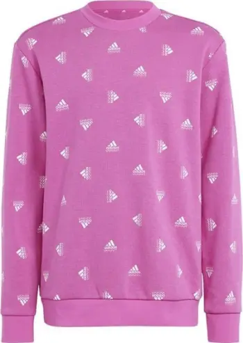 Bluzë sport Adidas Bluv Swt Jr IC5573, për vajza, me print logo, rozë