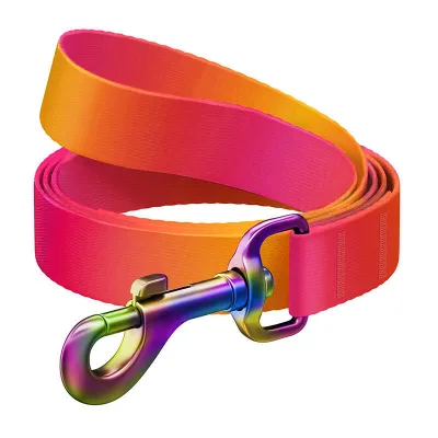 Zinxhir për qen Waudog Gradient, najlon 122cm, 20mm, portokalli rozë - 1